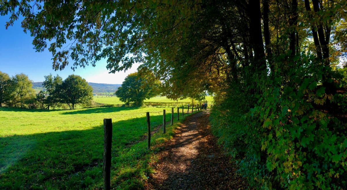 Dutch Mountain Trail