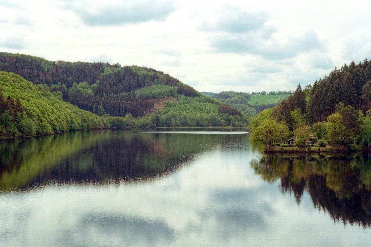 Wildnis Trail Eifel