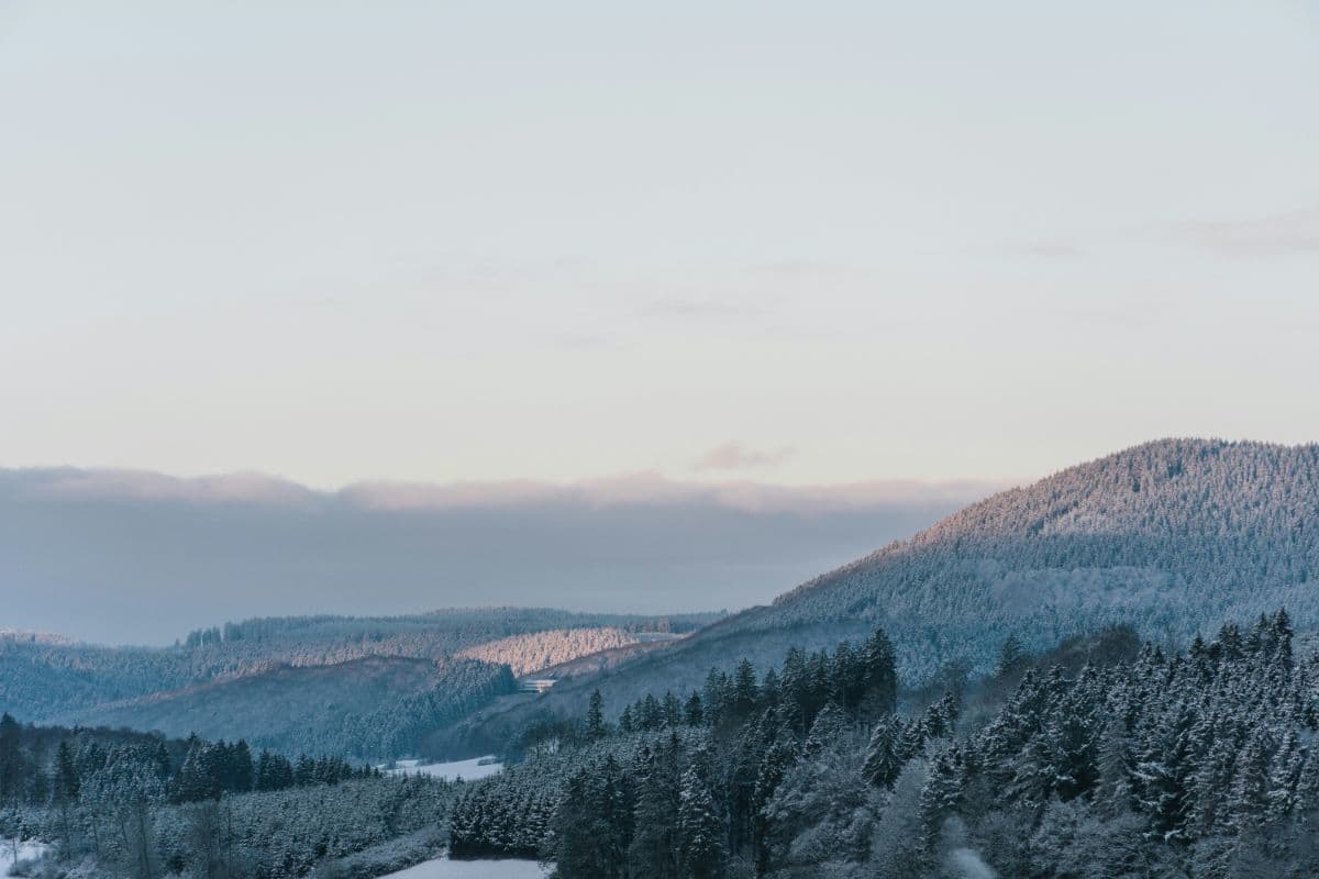 Diemelsteig