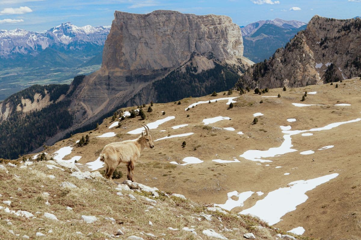 Tour du Vercors
